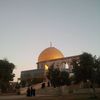 mohammedabusrour8