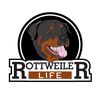 Rottweiler Life