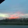 nyva_11