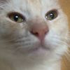 pawpawwwwwww_0