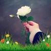 ammarakhtar939