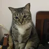 dbquyy