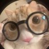 user_121523