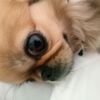 my_name_is_skibi