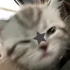 una_ramdom61