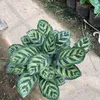 anhduong.dochoi