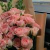 lolo_9492