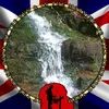 leewhitehead7