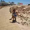 yesenia_masias