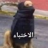 magdy_mohamed