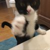 .jorji
