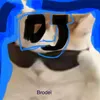 dj_brodei