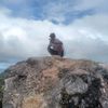 enmanuel_0207