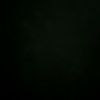 user04216660