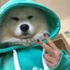 jorge_pedreiro_