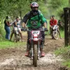guio_1993