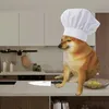 cheemschronicles