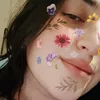 adadoee