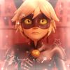 chat.noir_lover