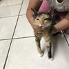 storrmy2.cute