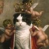 emperor_kitten