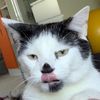 larrysqueequs