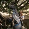 horsebsister