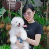 Tường Vy Vy