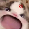bongxgaii123