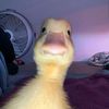unknowncreature0521