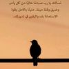 majedd_4