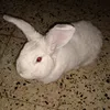 user98808048
