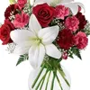 _amera_43