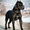 jack.black378