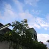 asdrfile