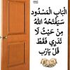 user80523503