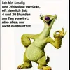 wunderfitz