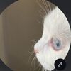 lqw9_3