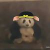xrilili