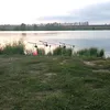 alexei25_