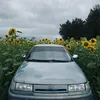 qwert_247