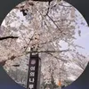 lili_tms