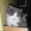 erufufu