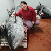 simonapresidente