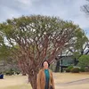 phamthithanhhai1