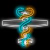 snakes.and.a.plane