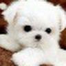 user174701948