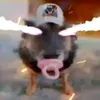 darknigt5