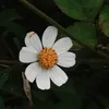 minnguyen02