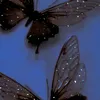 someoneinspacetime